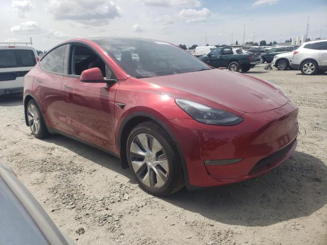 Photo 3 VIN: 7SAYGAEE2RF021409 - TESLA MODEL Y 