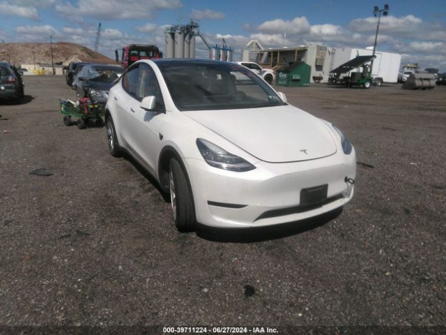 Photo 0 VIN: 7SAYGAEE3NF381136 - TESLA MODEL Y 