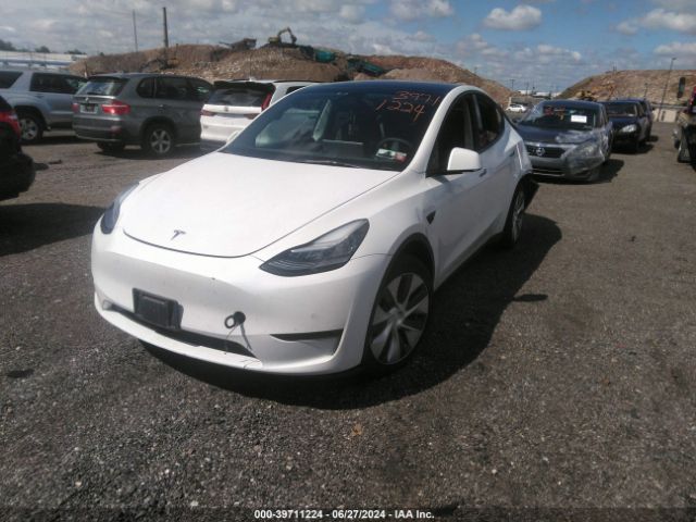 Photo 1 VIN: 7SAYGAEE3NF381136 - TESLA MODEL Y 