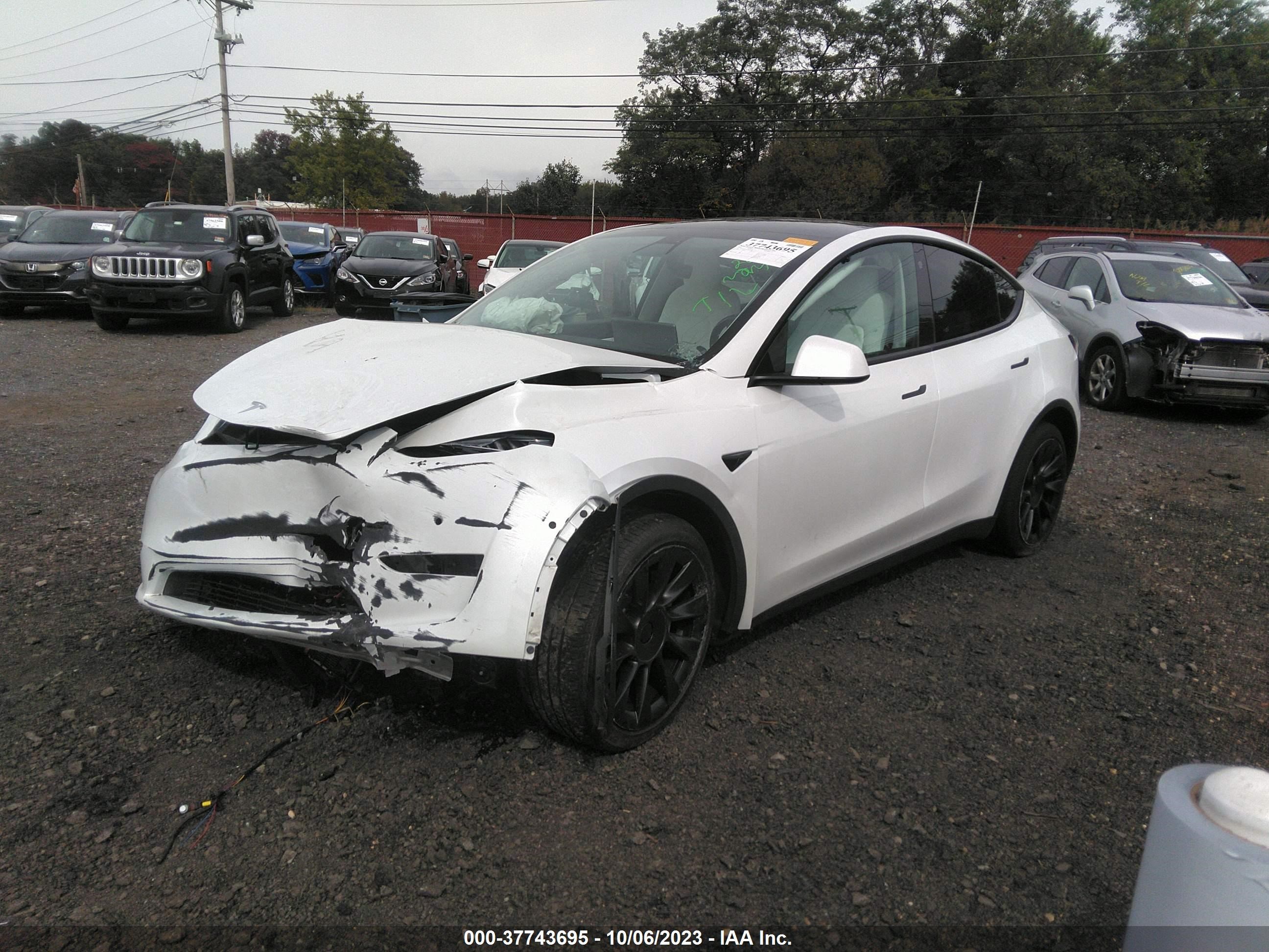 Photo 1 VIN: 7SAYGAEE3NF414488 - TESLA MODEL Y 