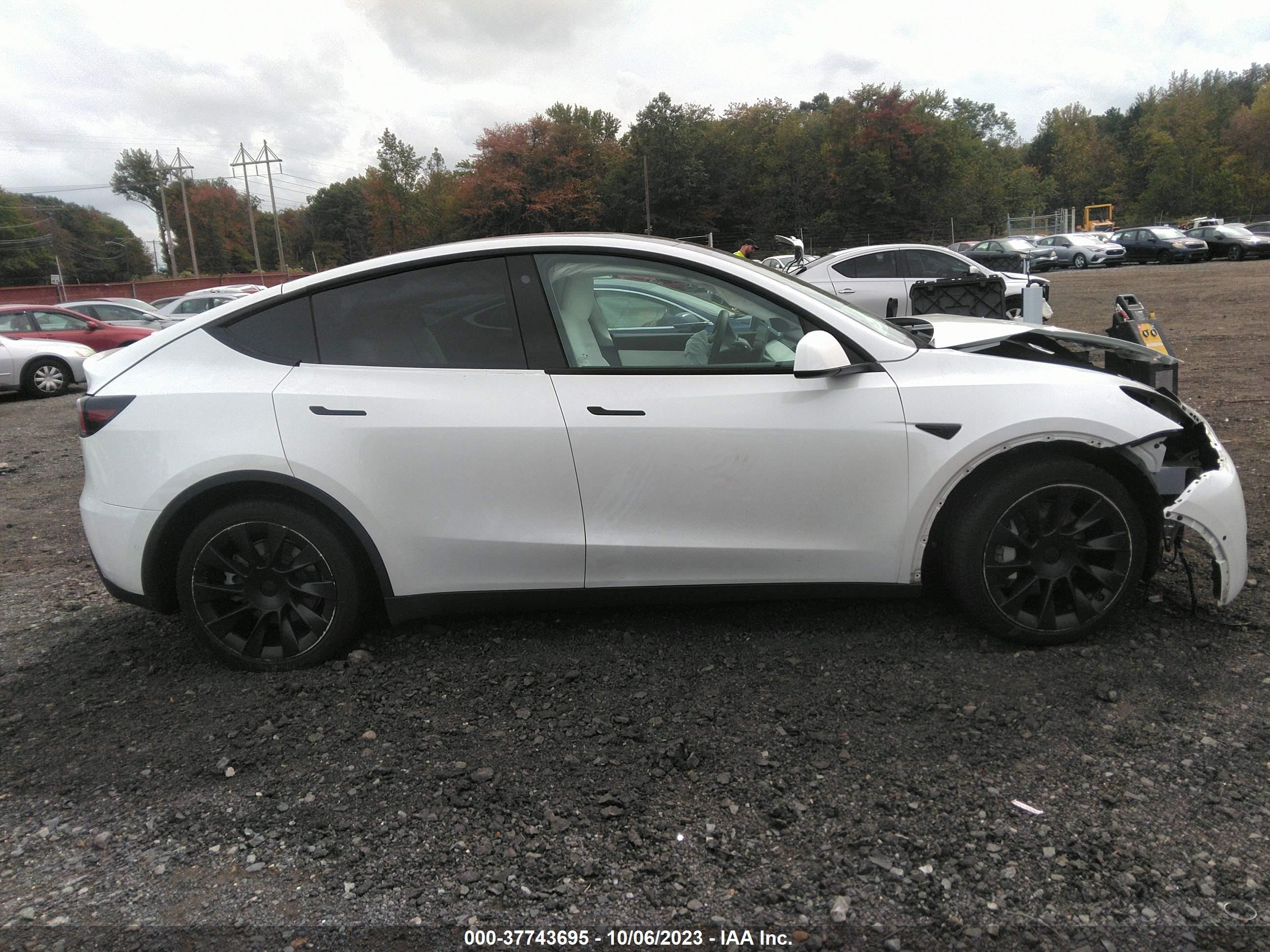 Photo 11 VIN: 7SAYGAEE3NF414488 - TESLA MODEL Y 