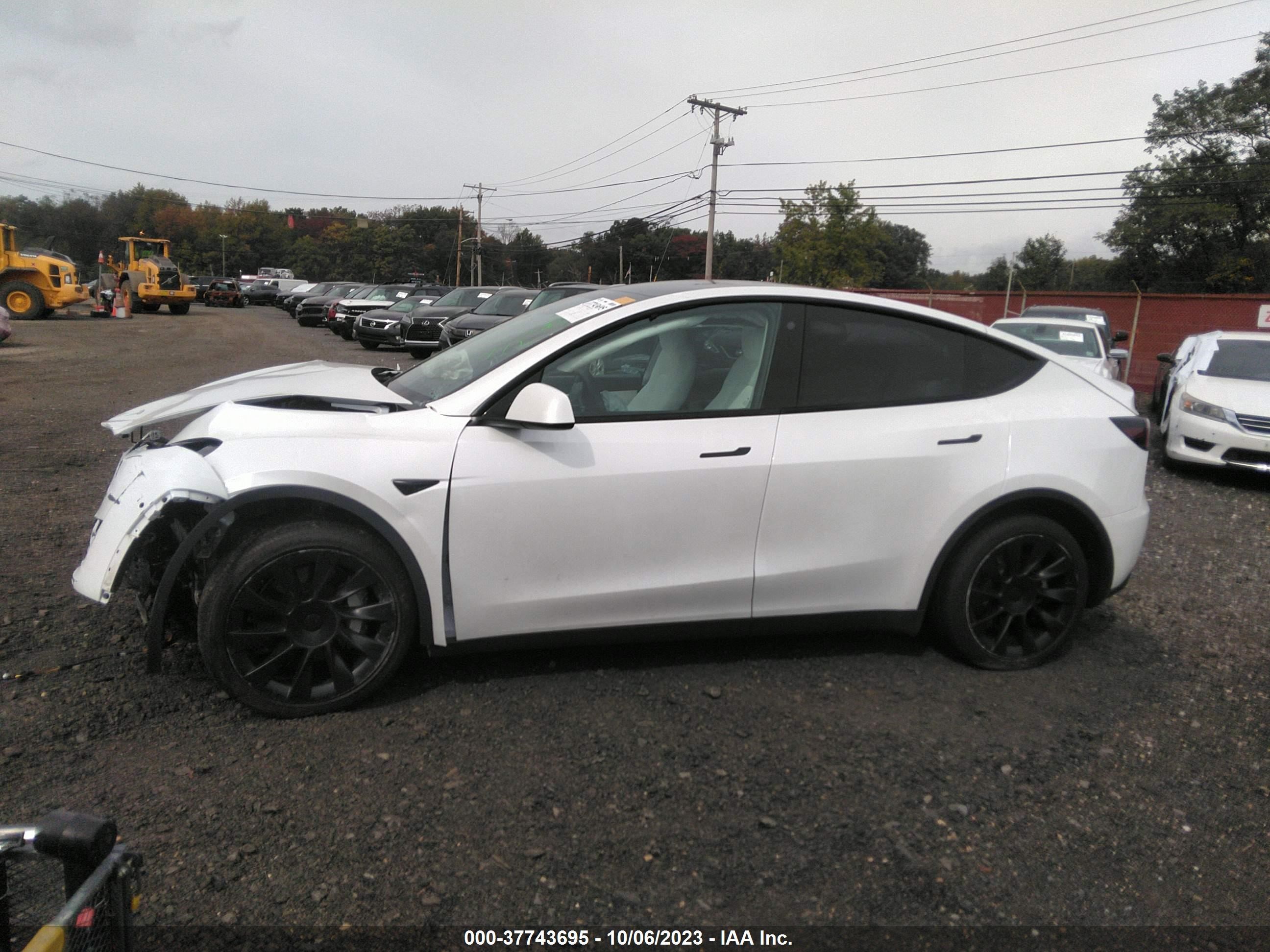 Photo 12 VIN: 7SAYGAEE3NF414488 - TESLA MODEL Y 