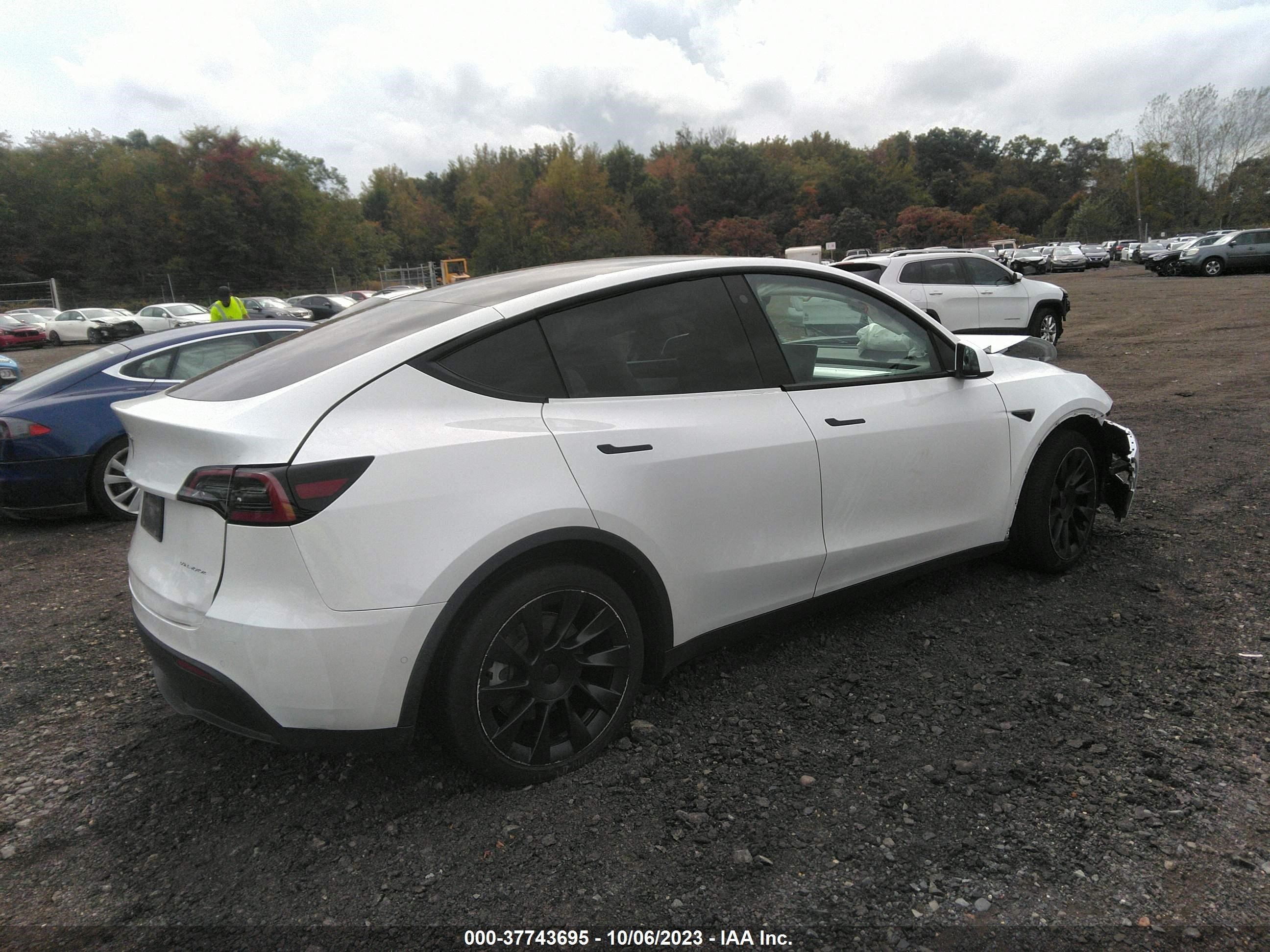 Photo 3 VIN: 7SAYGAEE3NF414488 - TESLA MODEL Y 