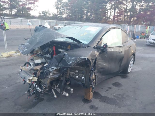 Photo 1 VIN: 7SAYGAEE3PF925072 - TESLA MODEL Y 