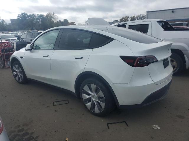 Photo 1 VIN: 7SAYGAEE3RF060557 - TESLA MODEL Y 