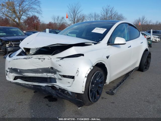 Photo 1 VIN: 7SAYGAEE4PF630563 - TESLA MODEL Y 