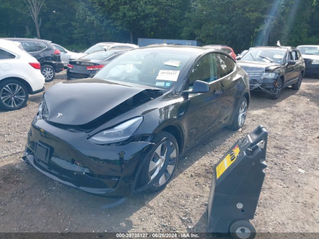 Photo 1 VIN: 7SAYGAEE4RF006104 - TESLA MODEL Y 