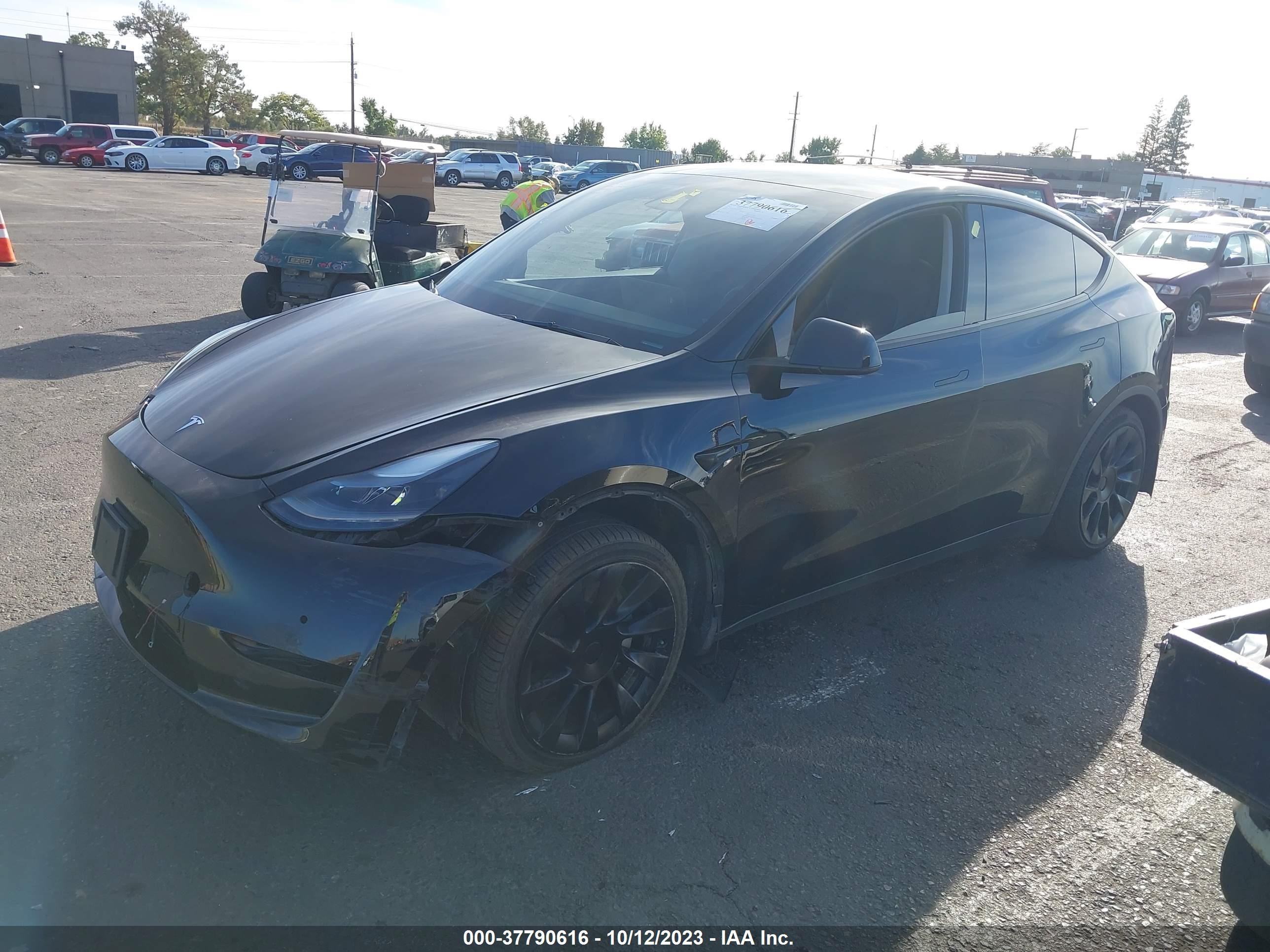 Photo 1 VIN: 7SAYGAEE5NF549696 - TESLA MODEL Y 