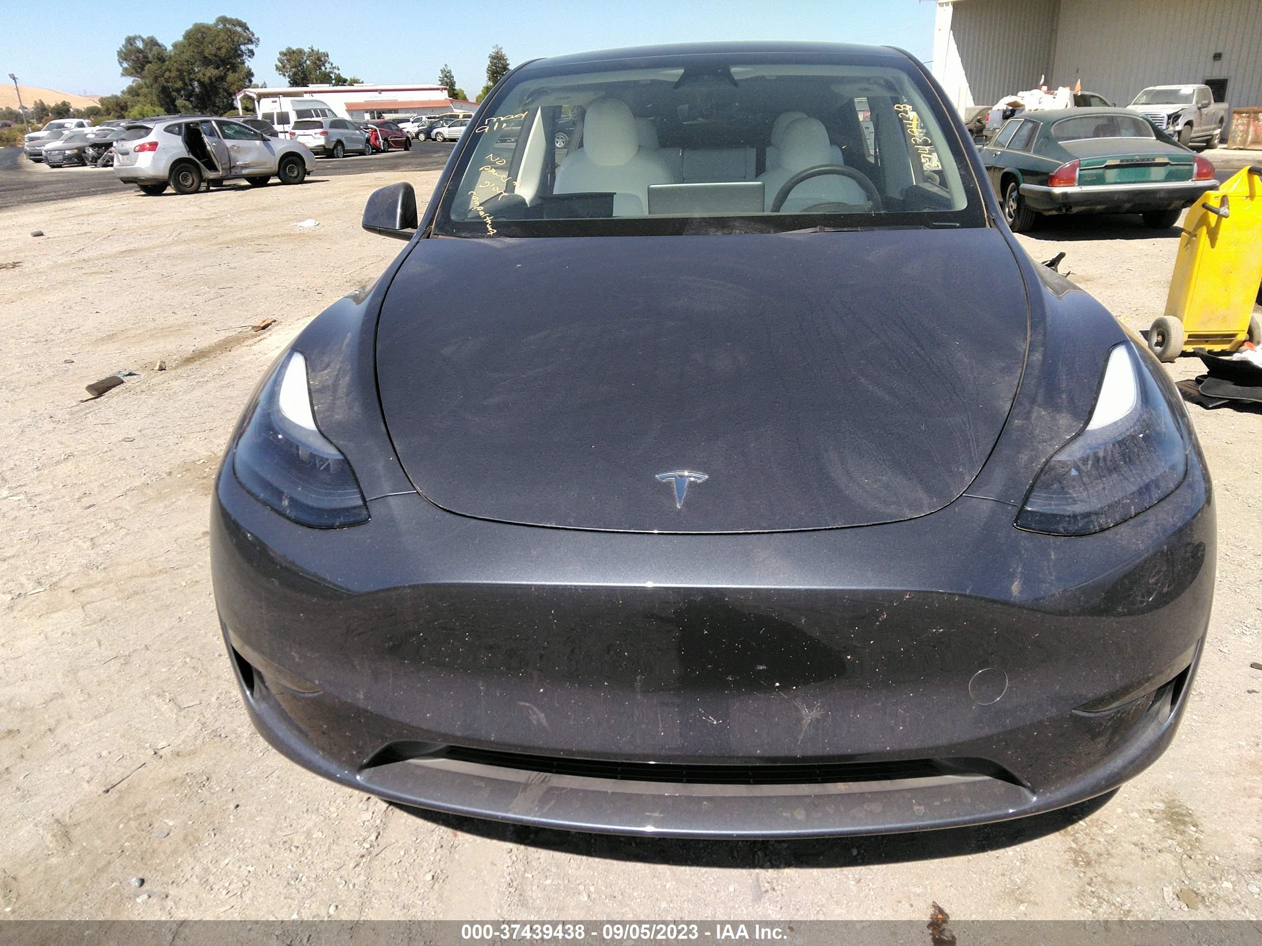 Photo 10 VIN: 7SAYGAEE5PF640647 - TESLA MODEL Y 