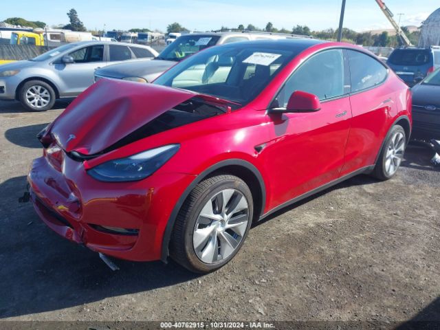 Photo 1 VIN: 7SAYGAEE6NF561517 - TESLA MODEL Y 