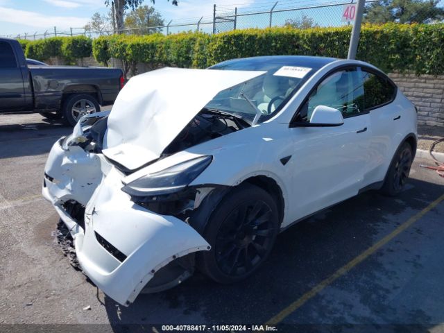 Photo 1 VIN: 7SAYGAEE6PF662625 - TESLA MODEL Y 