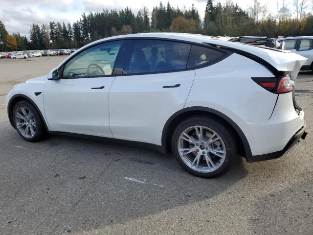 Photo 1 VIN: 7SAYGAEE6PF827170 - TESLA MODEL Y 