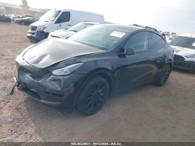 Photo 1 VIN: 7SAYGAEE6RF150348 - TESLA MODEL Y 