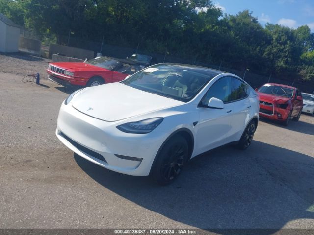 Photo 1 VIN: 7SAYGAEE7NF393001 - TESLA MODEL Y 