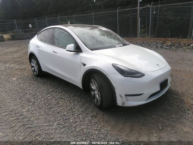 Photo 0 VIN: 7SAYGAEE7NF538005 - TESLA MODEL Y 