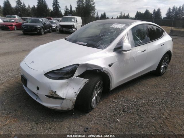 Photo 1 VIN: 7SAYGAEE7NF538005 - TESLA MODEL Y 