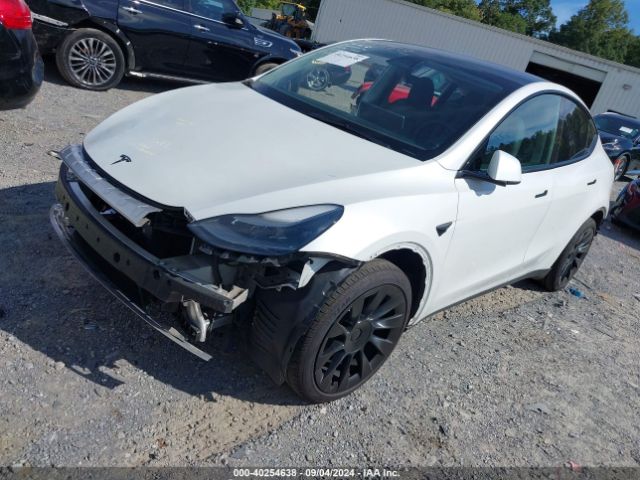 Photo 1 VIN: 7SAYGAEE7PF701268 - TESLA MODEL Y 