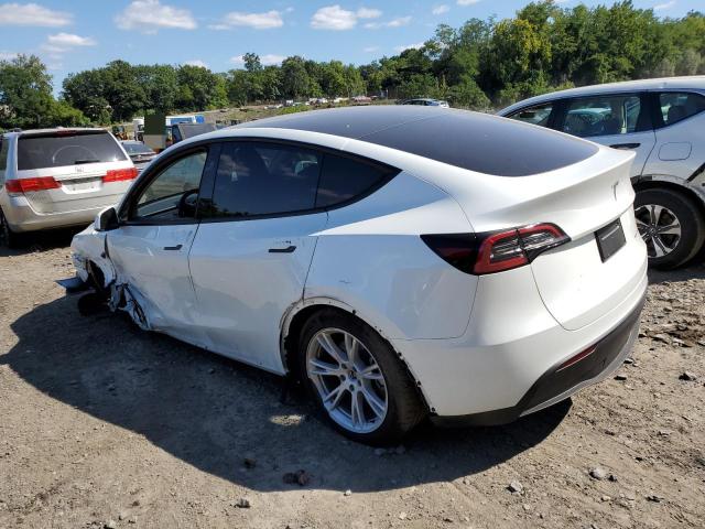 Photo 1 VIN: 7SAYGAEE7PF802052 - TESLA MODEL Y 