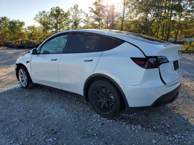 Photo 1 VIN: 7SAYGAEE7RF089303 - TESLA MODEL Y 