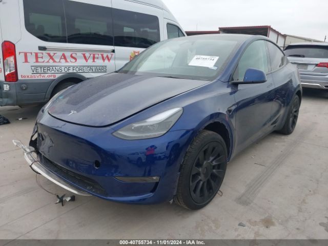 Photo 1 VIN: 7SAYGAEE7RF102521 - TESLA MODEL Y 