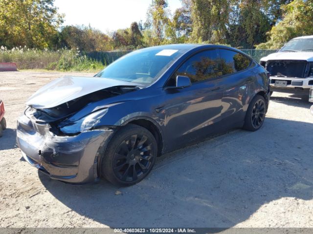 Photo 1 VIN: 7SAYGAEE8PF589368 - TESLA MODEL Y 