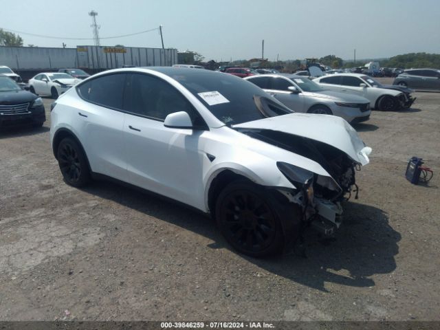 Photo 0 VIN: 7SAYGAEE8RF037176 - TESLA MODEL Y 