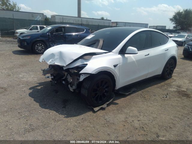 Photo 1 VIN: 7SAYGAEE8RF037176 - TESLA MODEL Y 