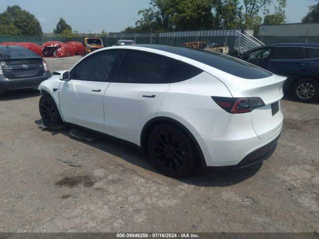 Photo 2 VIN: 7SAYGAEE8RF037176 - TESLA MODEL Y 