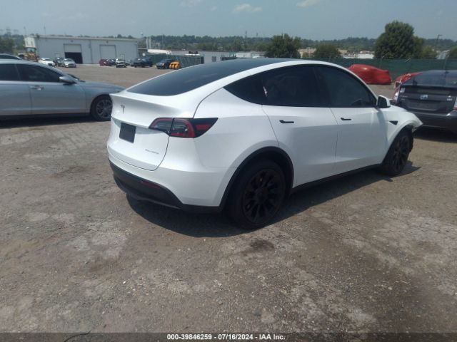 Photo 3 VIN: 7SAYGAEE8RF037176 - TESLA MODEL Y 