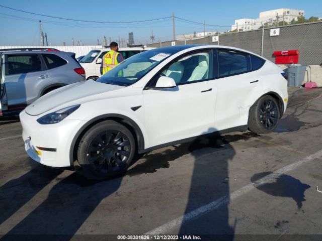 Photo 1 VIN: 7SAYGAEE9NF544131 - TESLA MODEL Y 