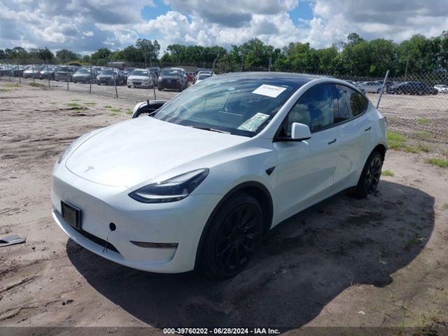 Photo 1 VIN: 7SAYGAEE9NF560376 - TESLA MODEL Y 