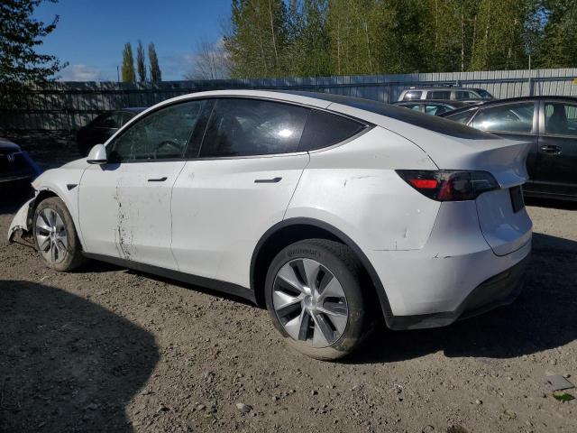 Photo 1 VIN: 7SAYGAEE9PF743375 - TESLA MODEL Y 