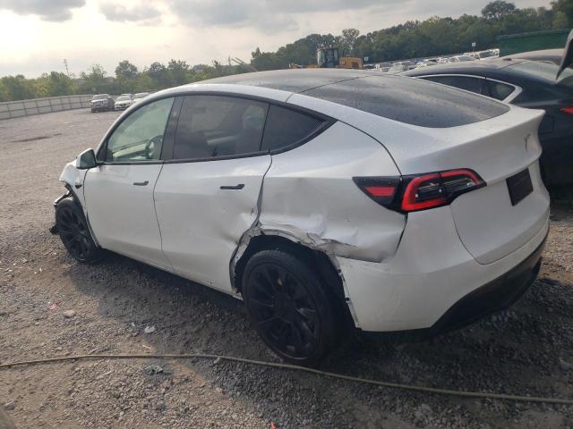 Photo 1 VIN: 7SAYGAEE9PF849437 - TESLA MODEL Y 