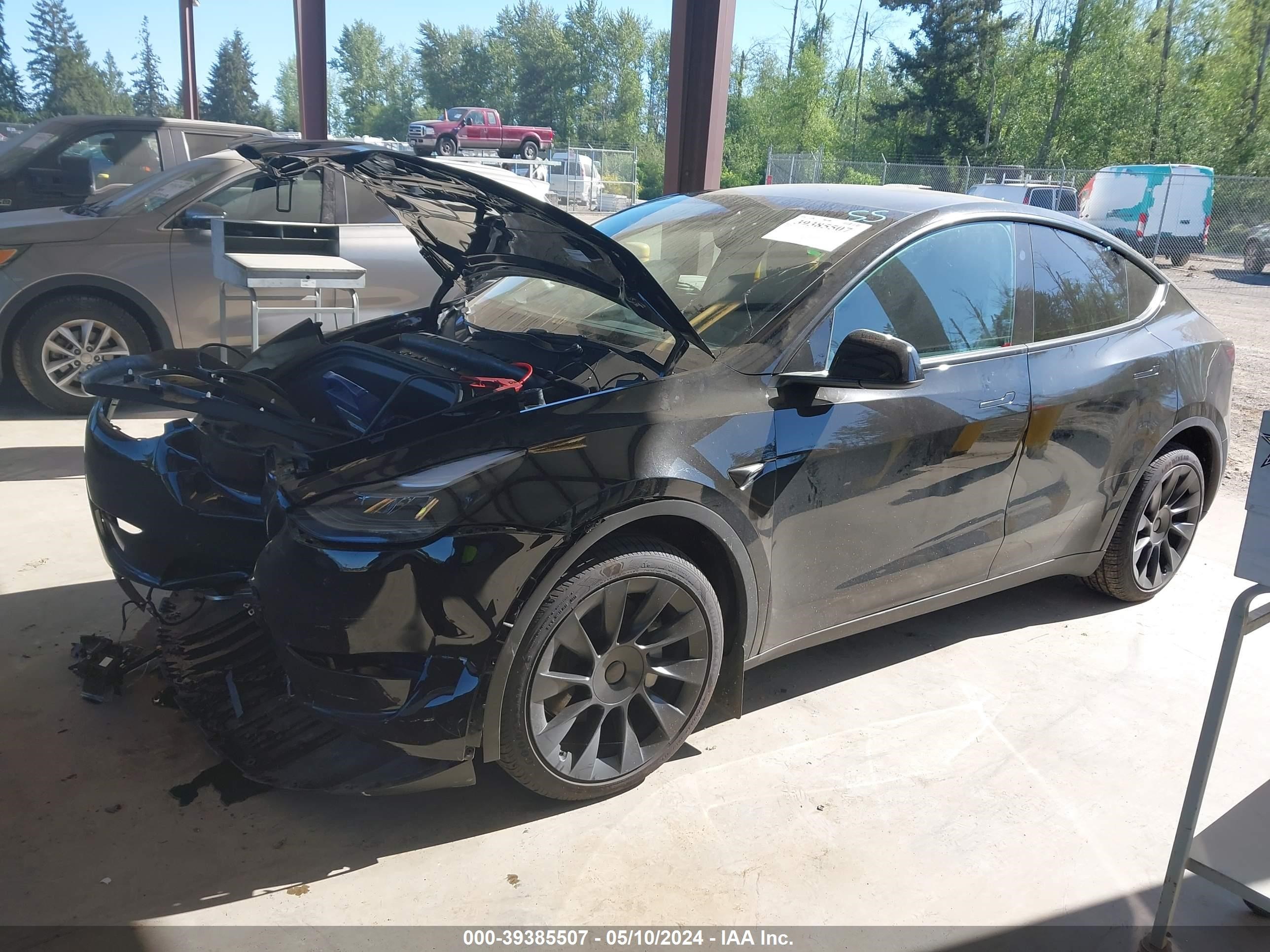 Photo 1 VIN: 7SAYGAEE9RF981360 - TESLA MODEL Y 