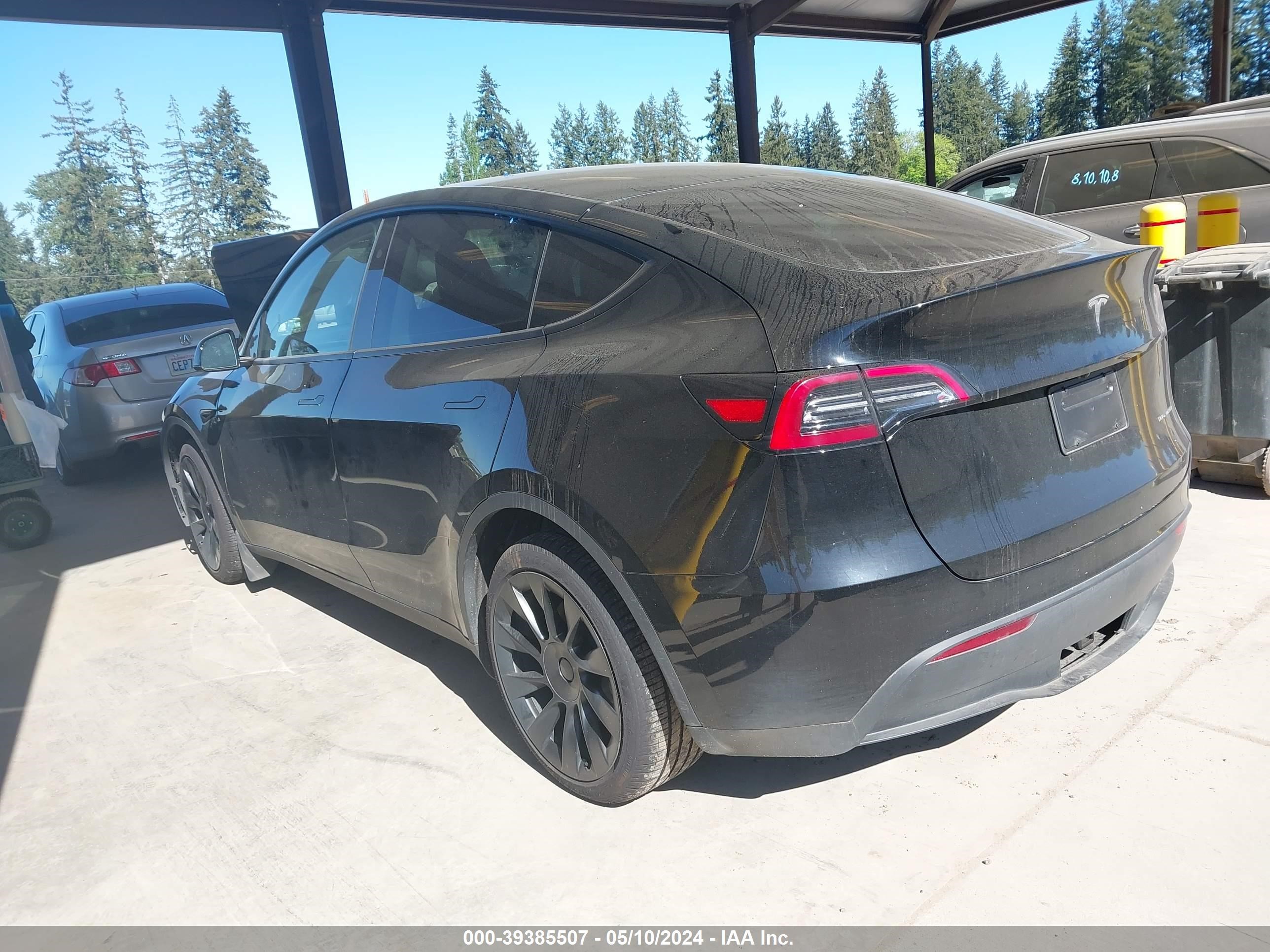 Photo 2 VIN: 7SAYGAEE9RF981360 - TESLA MODEL Y 