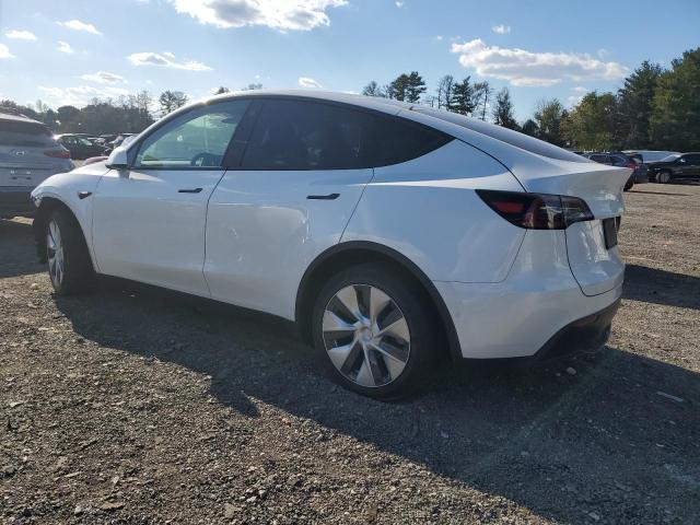 Photo 1 VIN: 7SAYGAEEXNF309334 - TESLA MODEL Y 