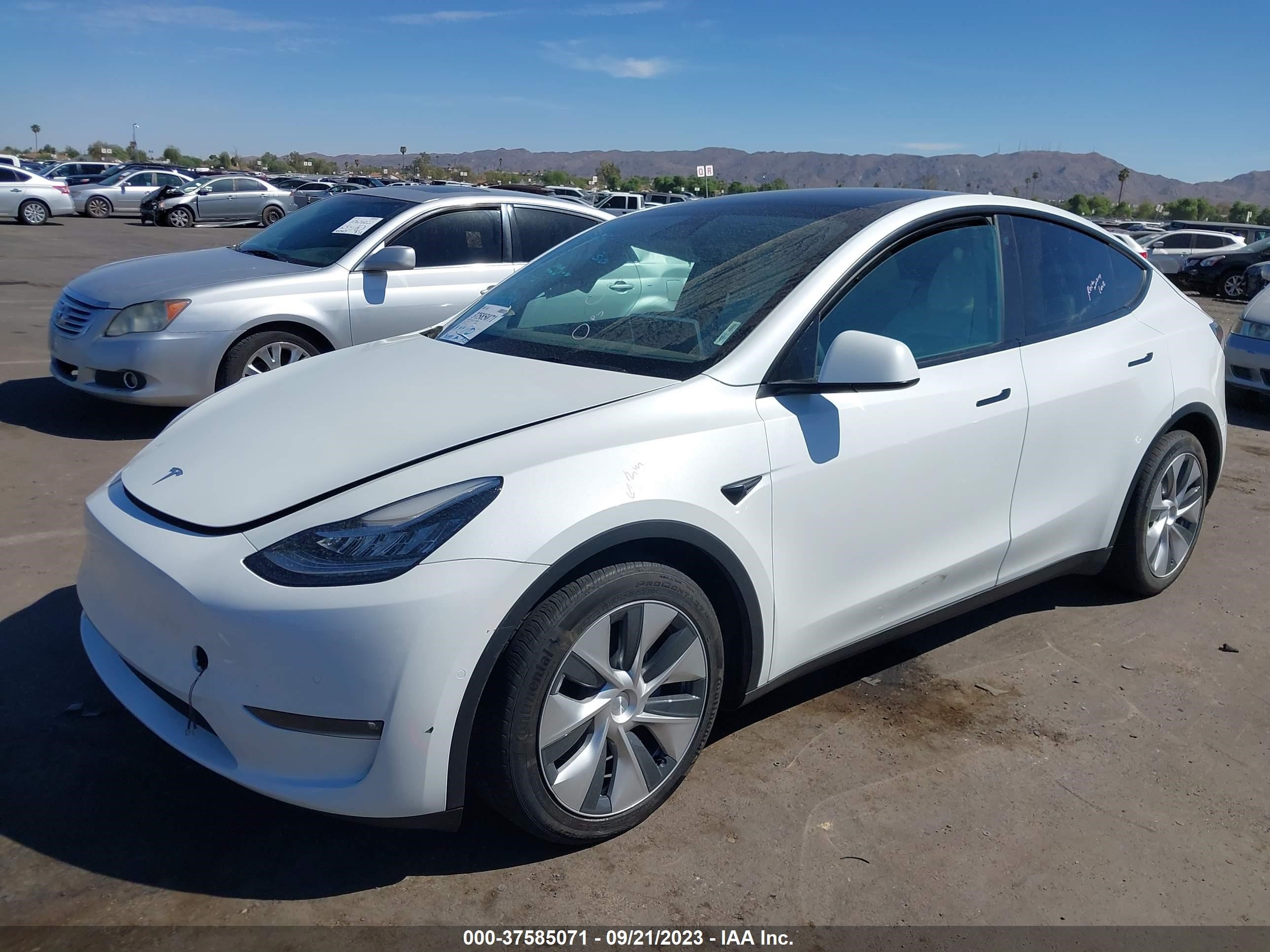 Photo 1 VIN: 7SAYGAEEXNF361773 - TESLA MODEL Y 