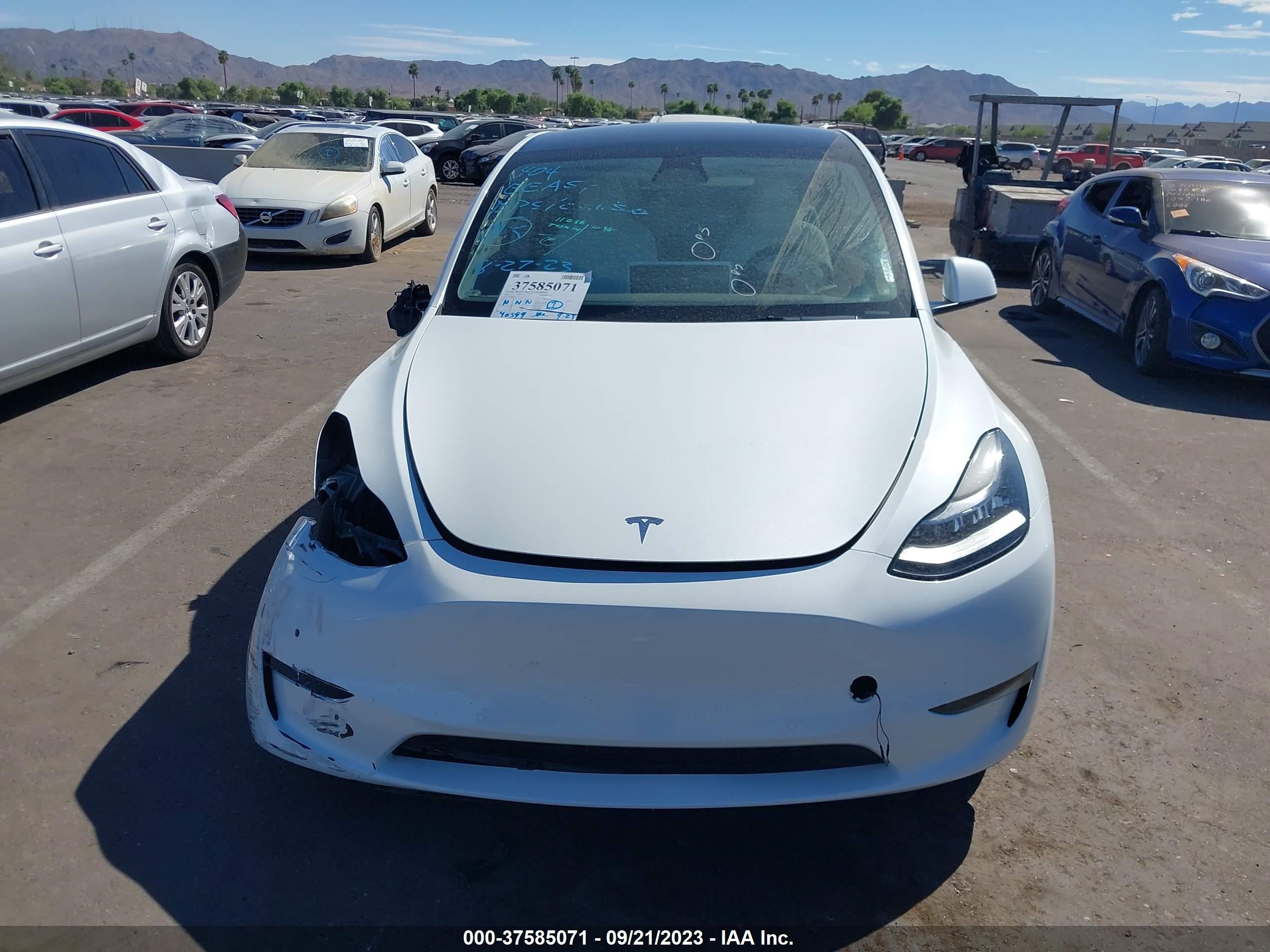 Photo 10 VIN: 7SAYGAEEXNF361773 - TESLA MODEL Y 