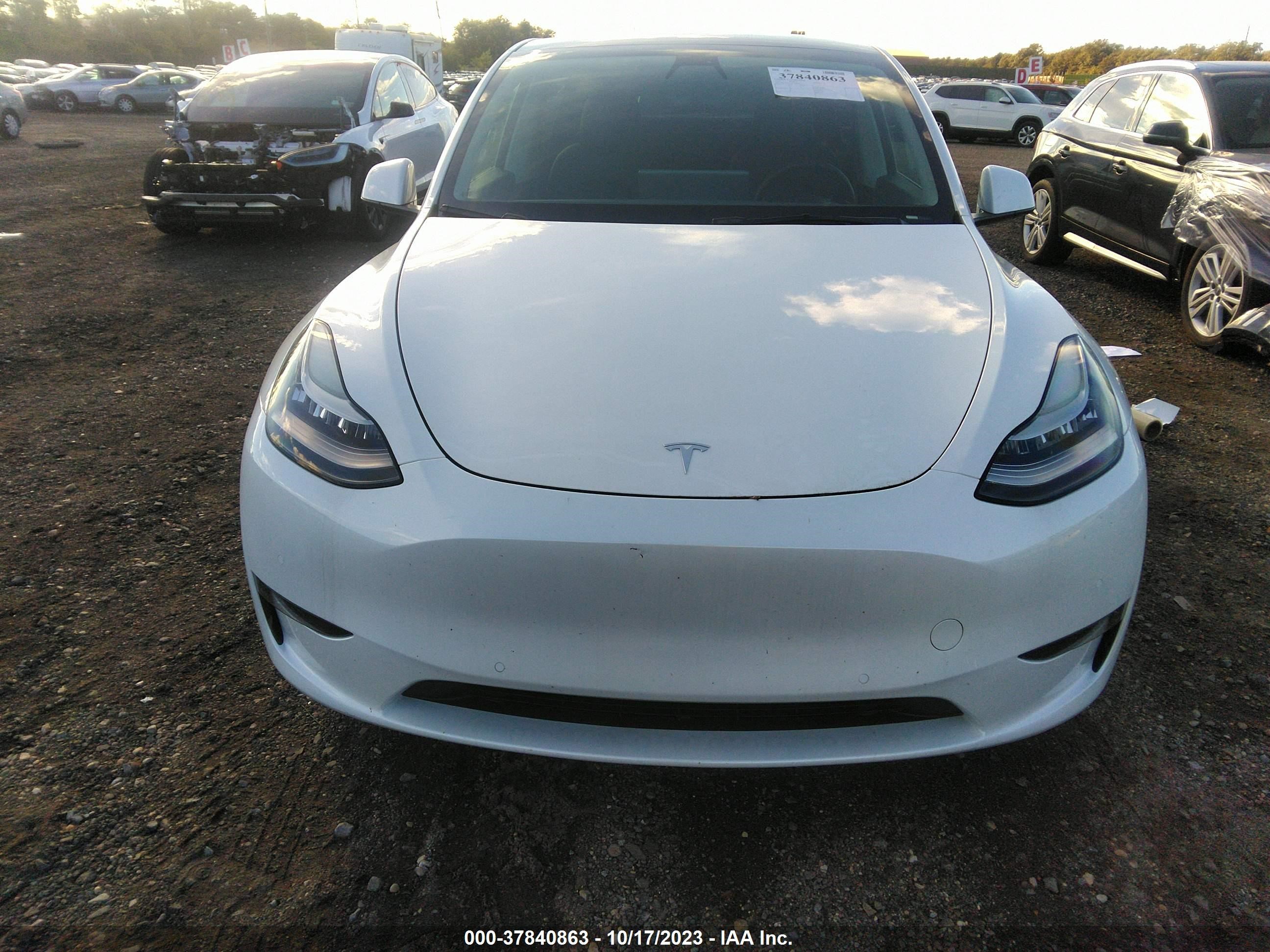 Photo 11 VIN: 7SAYGAEEXNF378962 - TESLA MODEL Y 