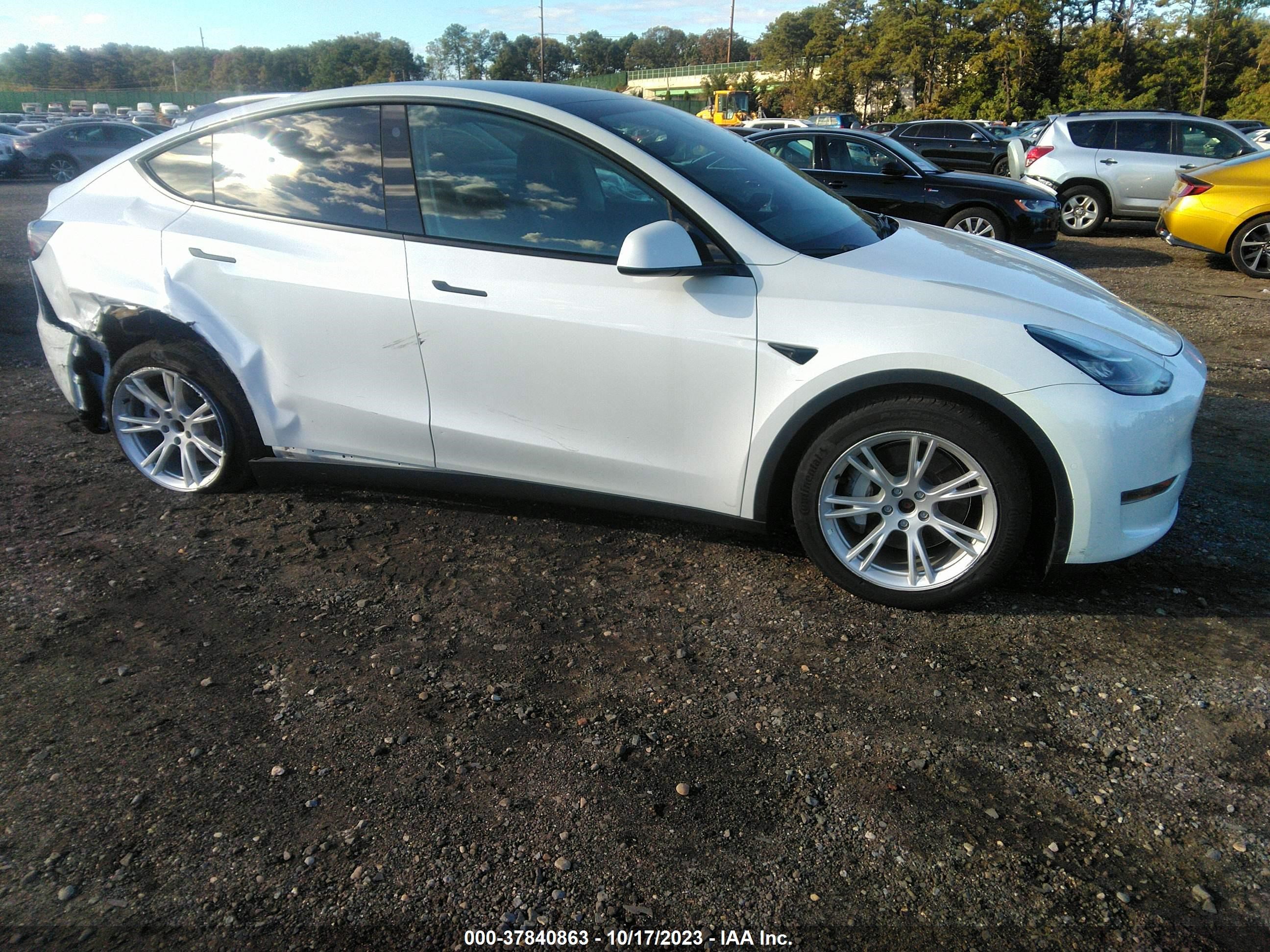 Photo 12 VIN: 7SAYGAEEXNF378962 - TESLA MODEL Y 