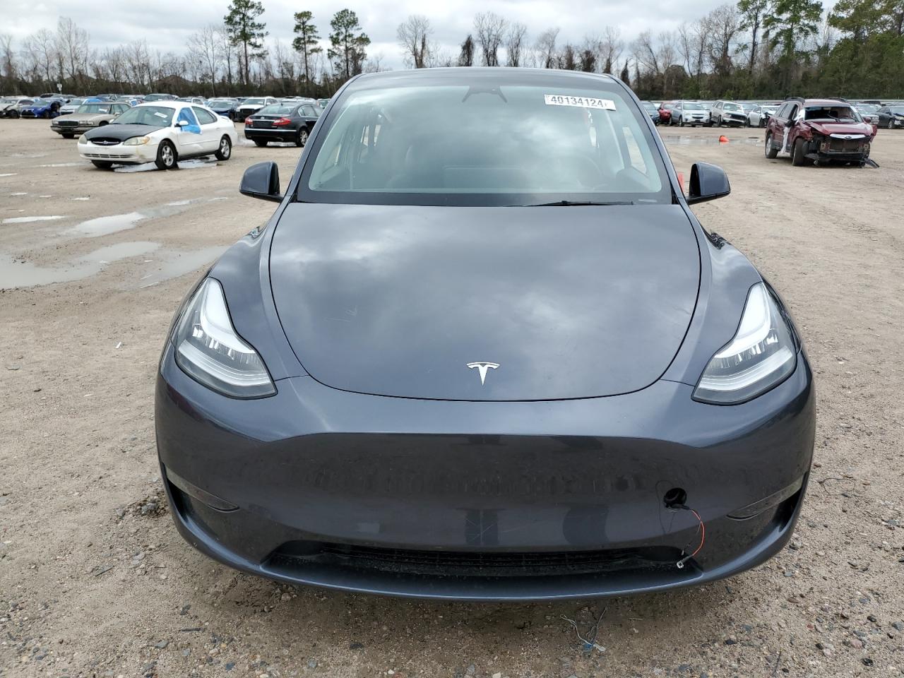 Photo 4 VIN: 7SAYGAEEXPF616019 - TESLA MODEL Y 