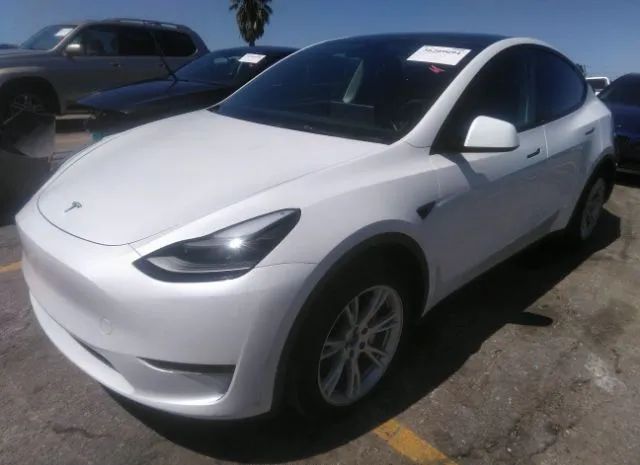 Photo 1 VIN: 7SAYGAEEXPF622841 - TESLA MODEL Y 