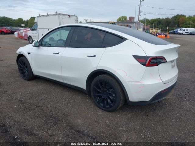 Photo 2 VIN: 7SAYGAEEXPF695529 - TESLA MODEL Y 