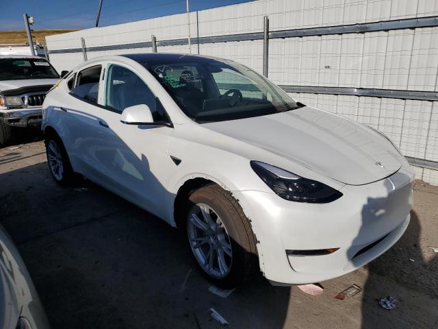 Photo 3 VIN: 7SAYGAEEXPF922668 - TESLA MODEL Y 