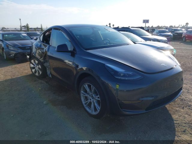 Photo 0 VIN: 7SAYGDED1RF050277 - TESLA MODEL Y 