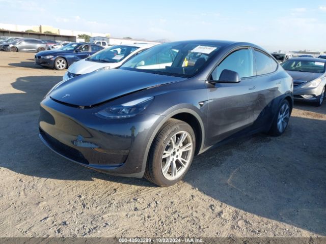 Photo 1 VIN: 7SAYGDED1RF050277 - TESLA MODEL Y 