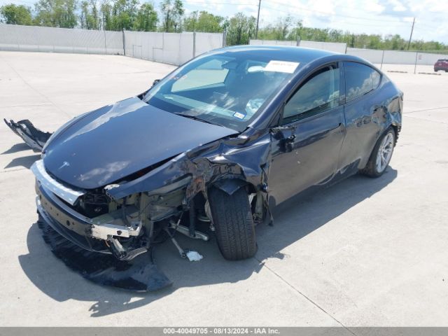 Photo 1 VIN: 7SAYGDED1RF052031 - TESLA MODEL Y 