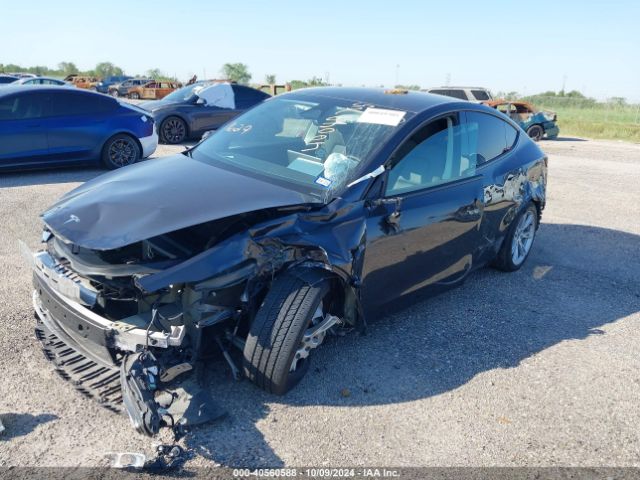 Photo 1 VIN: 7SAYGDED1RF052031 - TESLA MODEL Y 