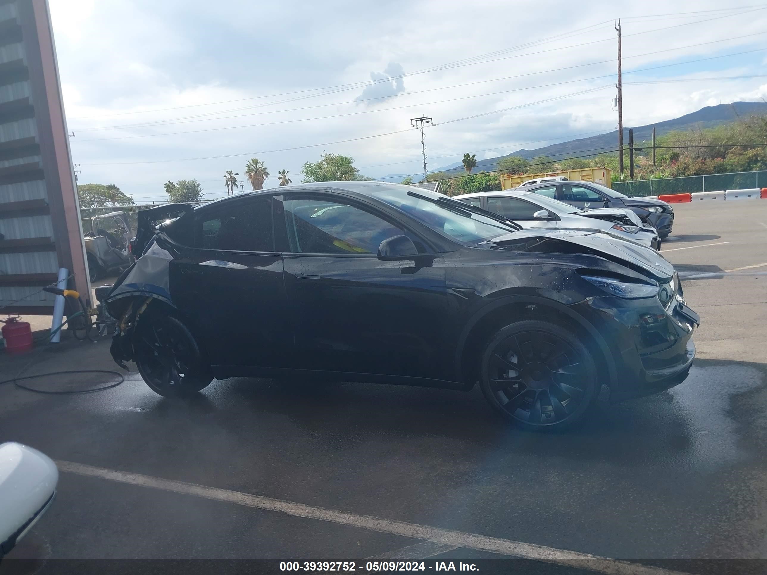 Photo 12 VIN: 7SAYGDED1RF052692 - TESLA MODEL Y 