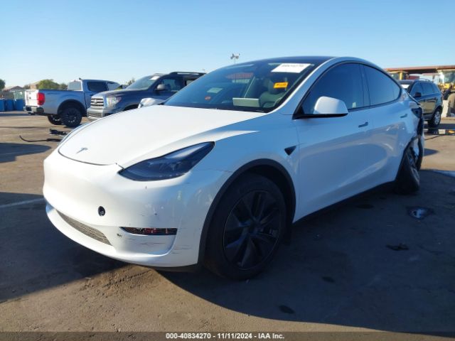 Photo 1 VIN: 7SAYGDED1RF098104 - TESLA MODEL Y 